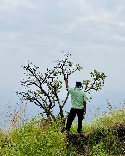 ബിനോ കൊച്ചുമോൾ വർഗീസ്